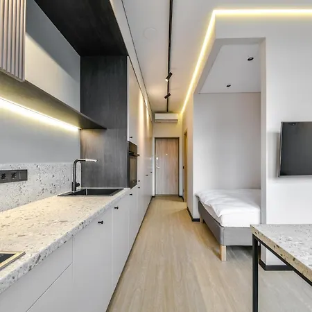 Apartment In Vilnius