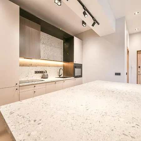 Apartment In Vilnius